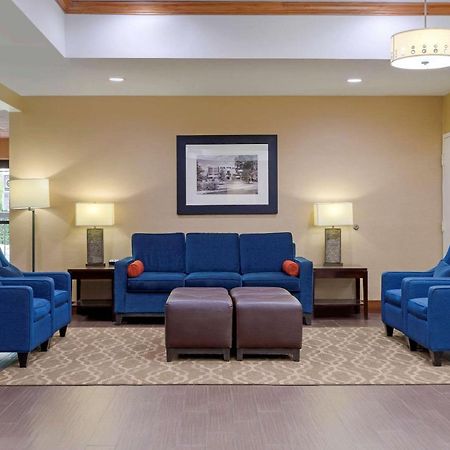 Comfort Suites Johnson City Near University מראה חיצוני תמונה