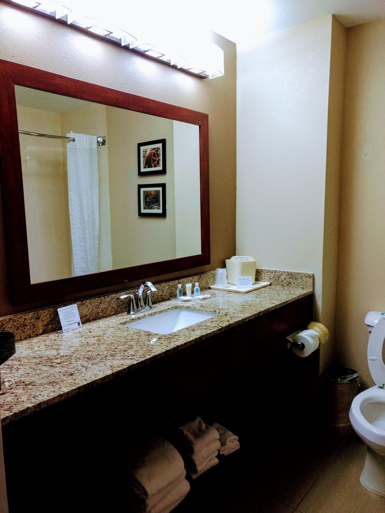 Comfort Suites Johnson City Near University מראה חיצוני תמונה