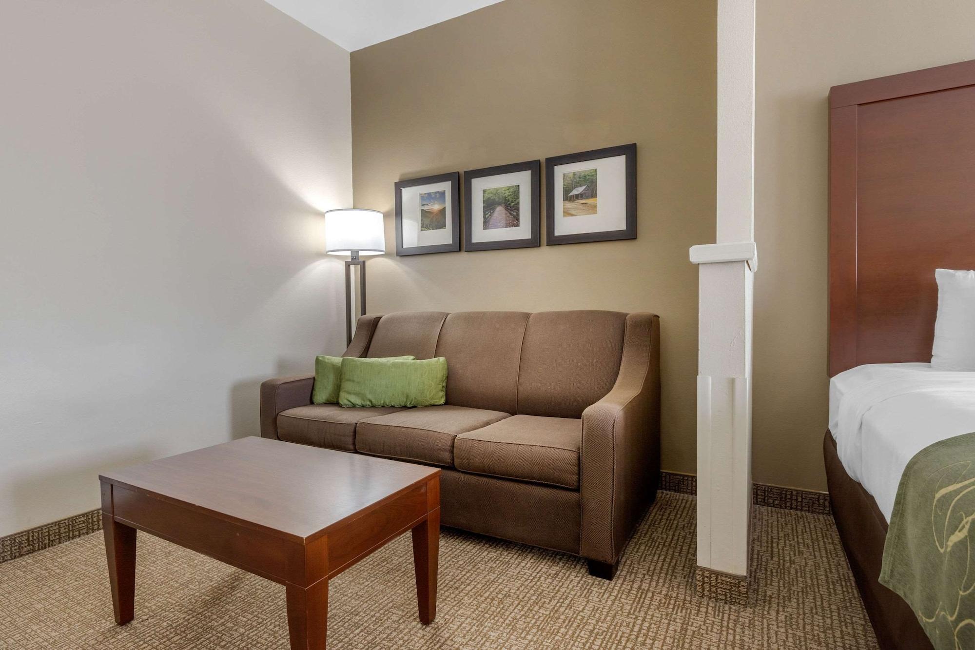 Comfort Suites Johnson City Near University מראה חיצוני תמונה