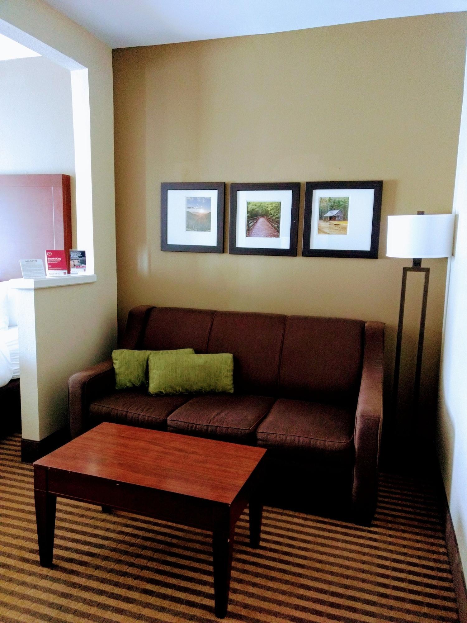 Comfort Suites Johnson City Near University מראה חיצוני תמונה